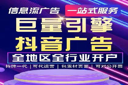 百度广告投放策略与效果评估案例